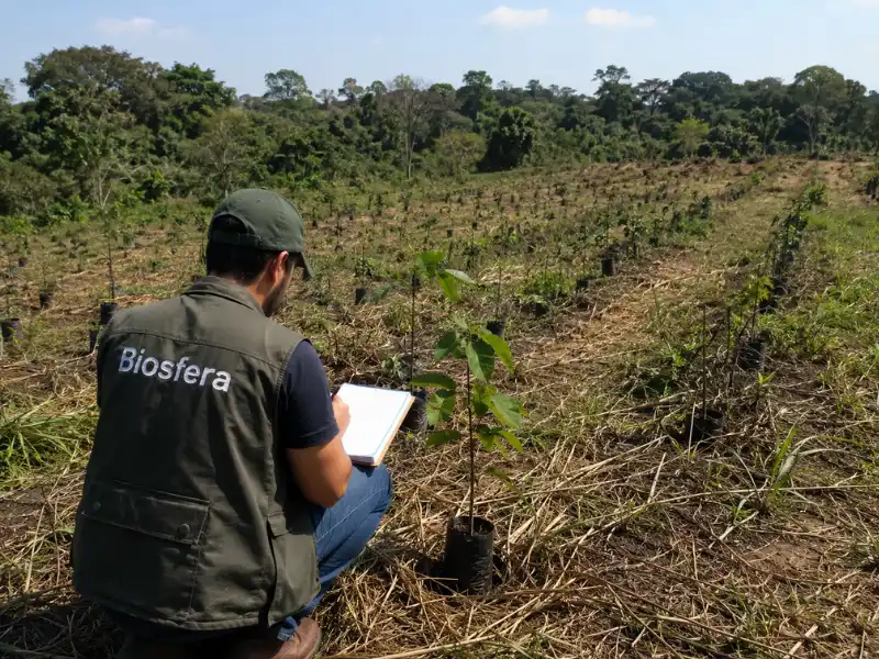 Trabajo de licenciamiento ambiental Biosfera