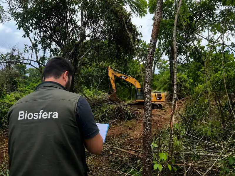 Proyecto de reforestación Biosfera